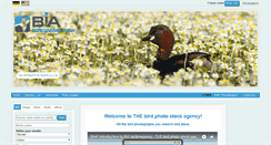 Desktop Screenshot of birdimagency.com